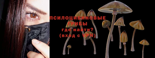ALPHA PVP Каменск-Шахтинский