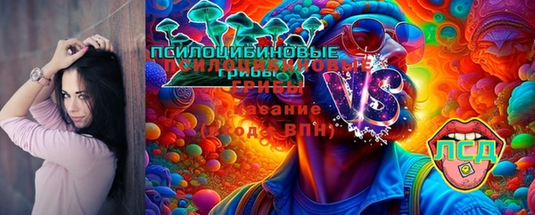 прущий лед Каменногорск
