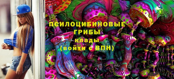 ALPHA PVP Каменск-Шахтинский