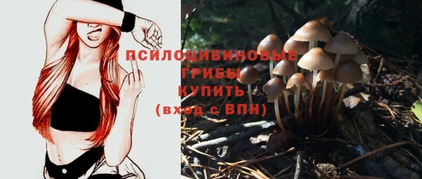 ALPHA PVP Каменск-Шахтинский